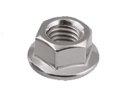 Flange Nuts Supplier in India