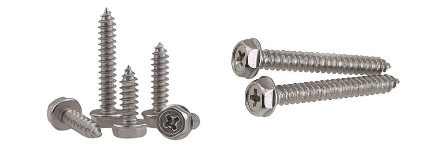 Stainless Steel Flange Head Self Tapping Screws Manufacturer in India